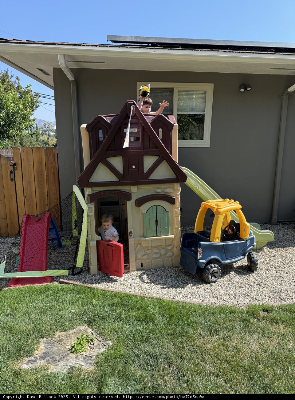 Backyard Adventure Awaits