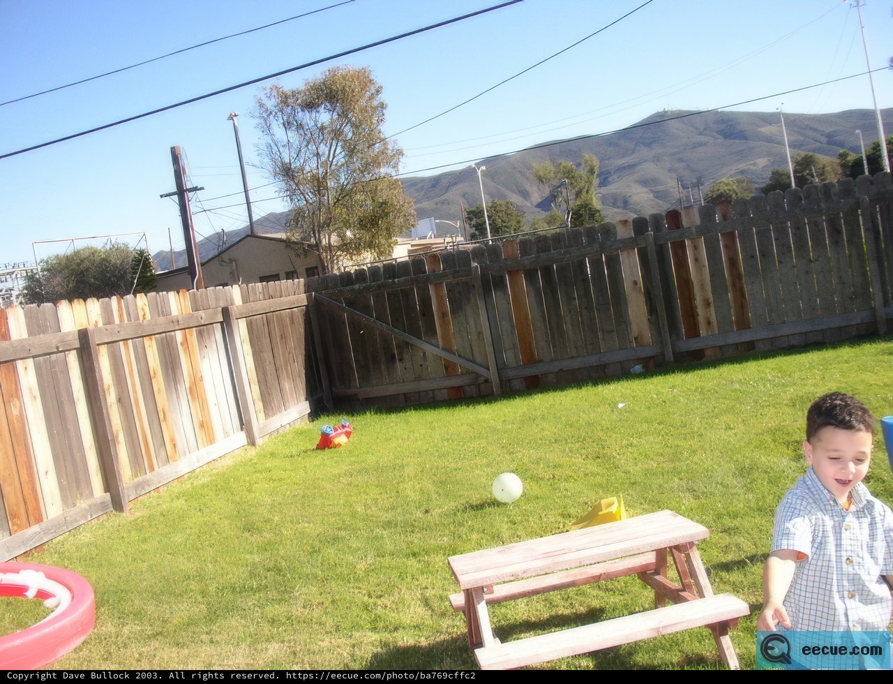 Playing in a Backyard Paradise