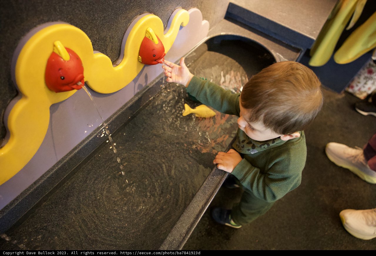 Splash of Innocence