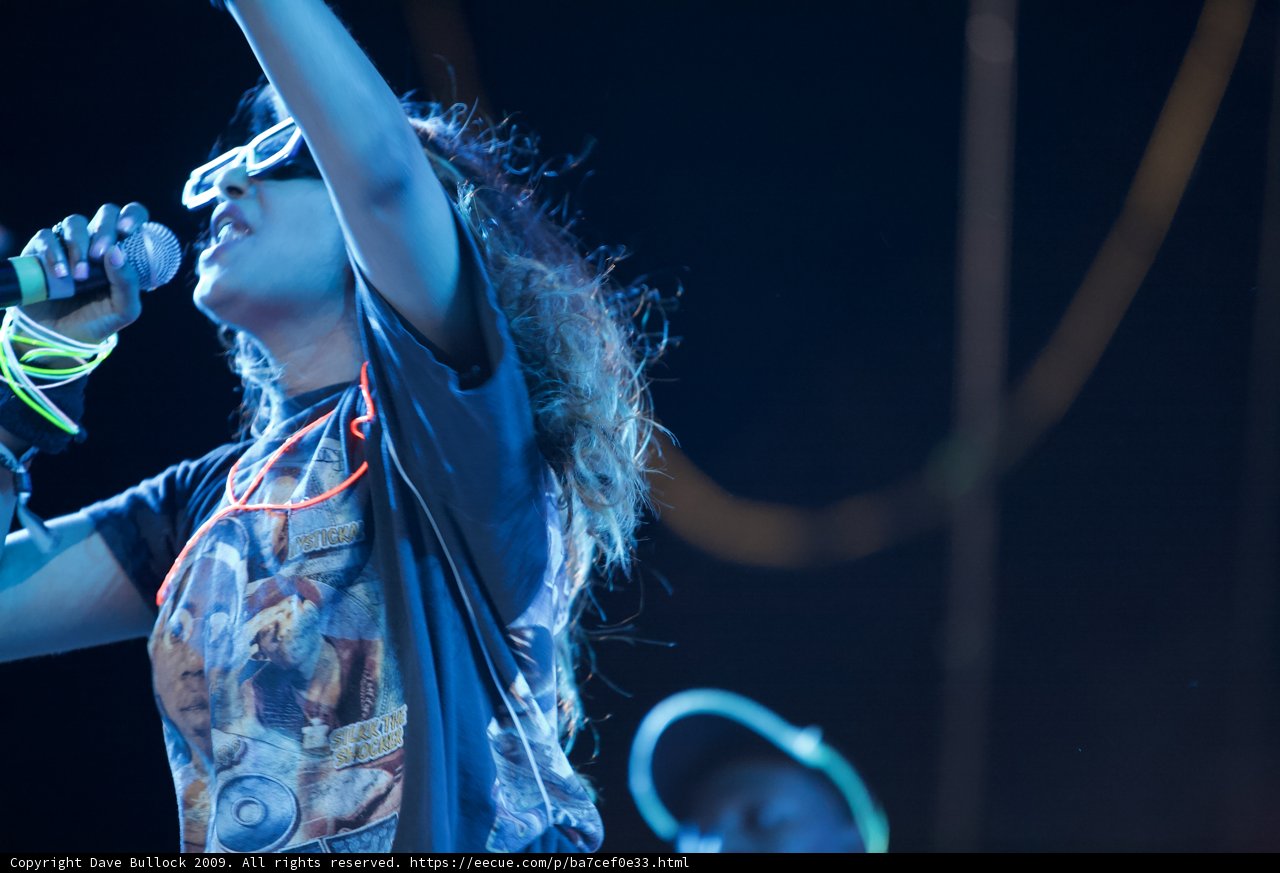 Leading the Concert