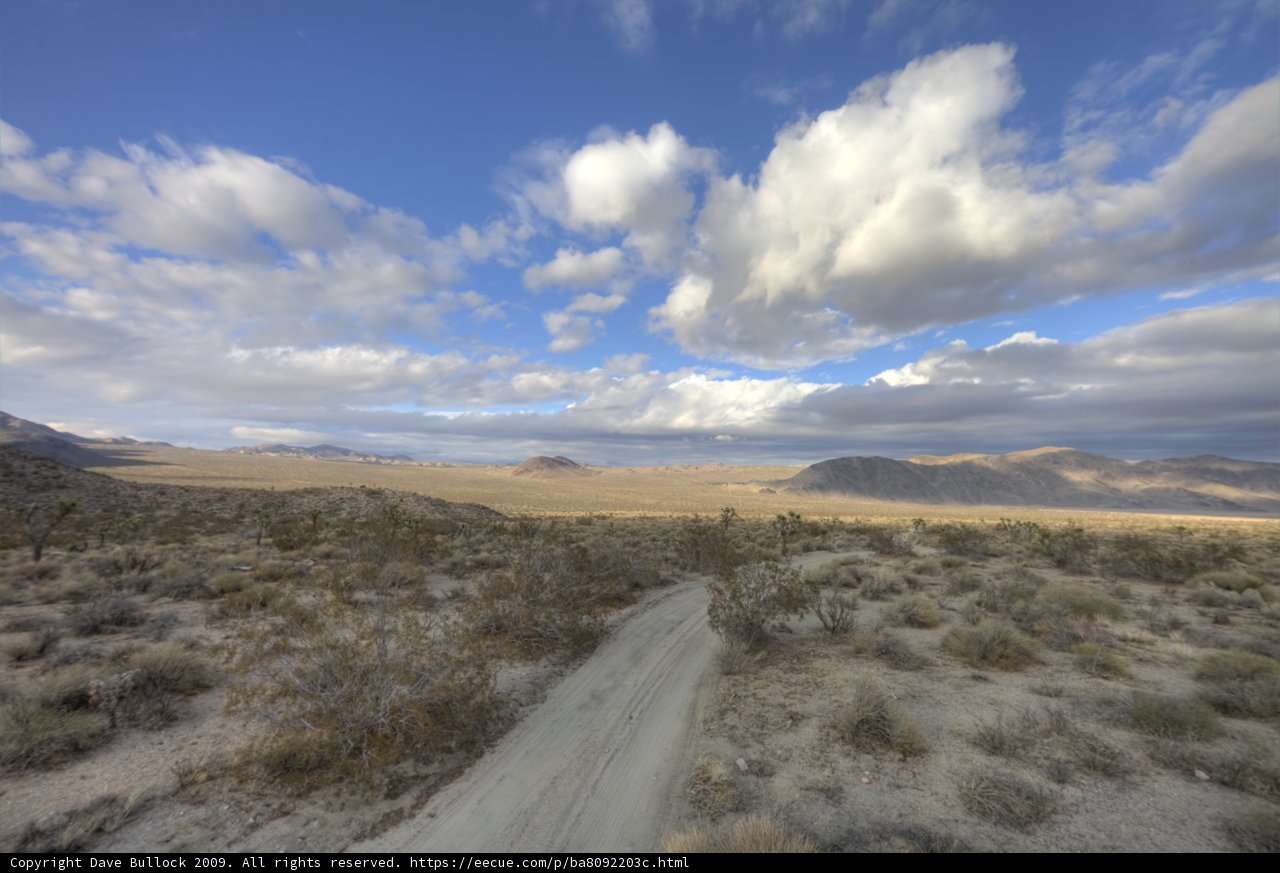 Serenity in the Desert