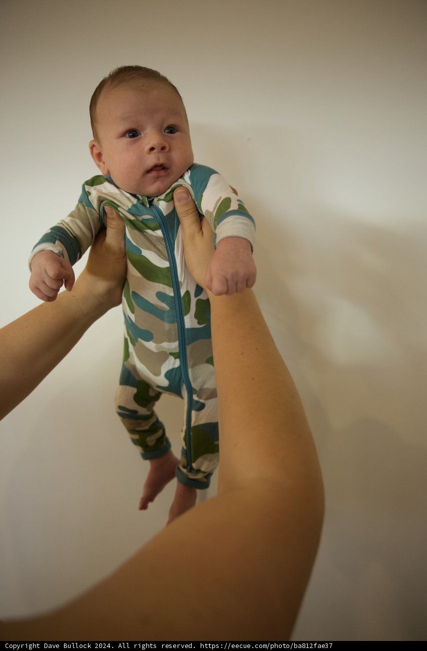 Little Explorer in Camo