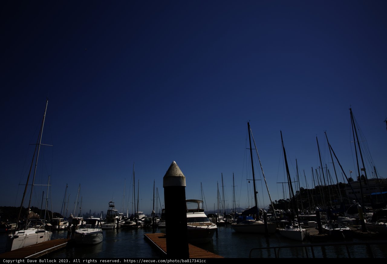 A Serene Afternoon at Tiburon Marina, 2023