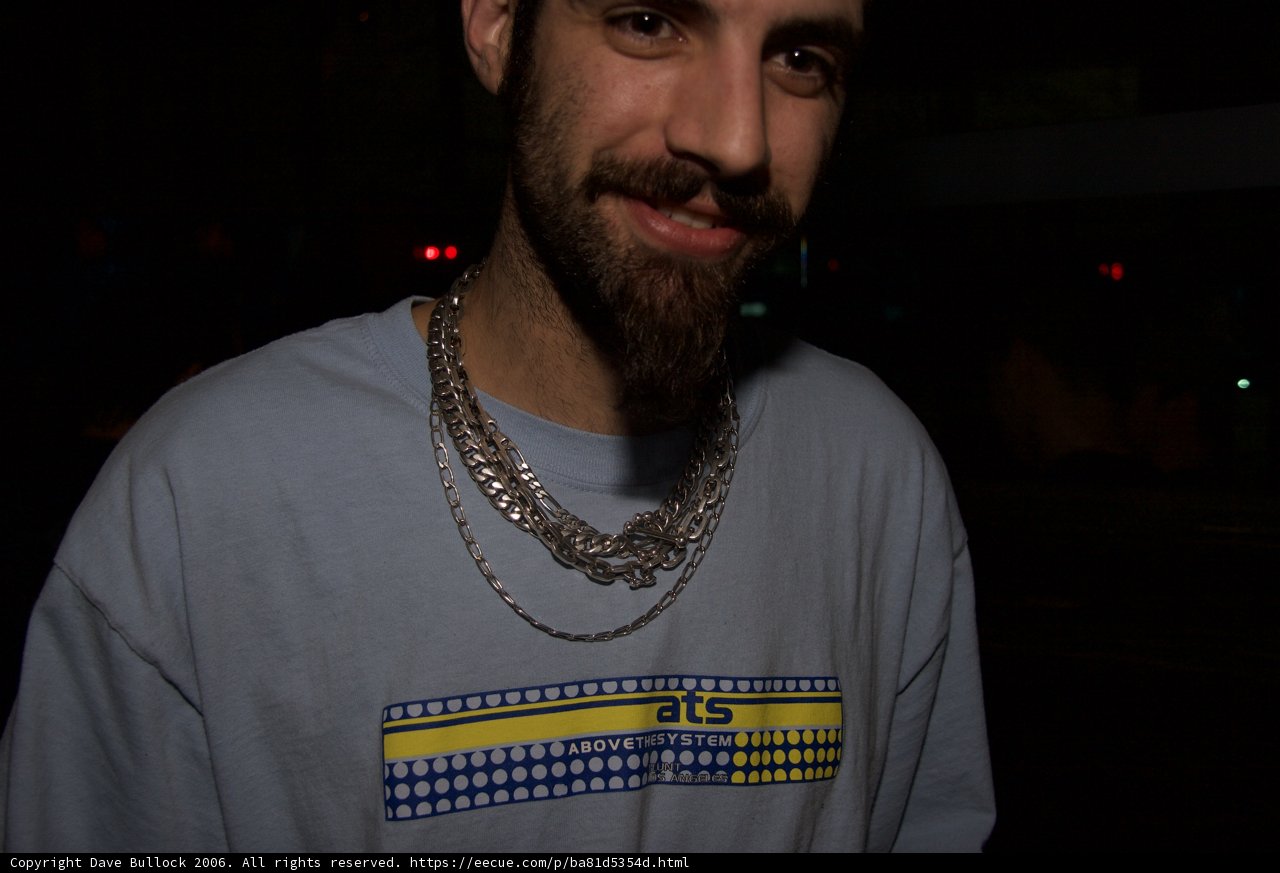 Bearded Art Enthusiast
