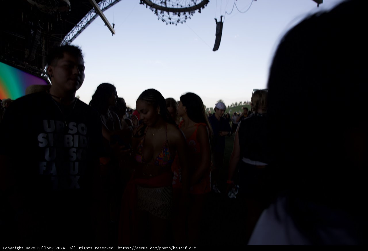 Silhouettes and Vibes: An Evening at Coachella 2024