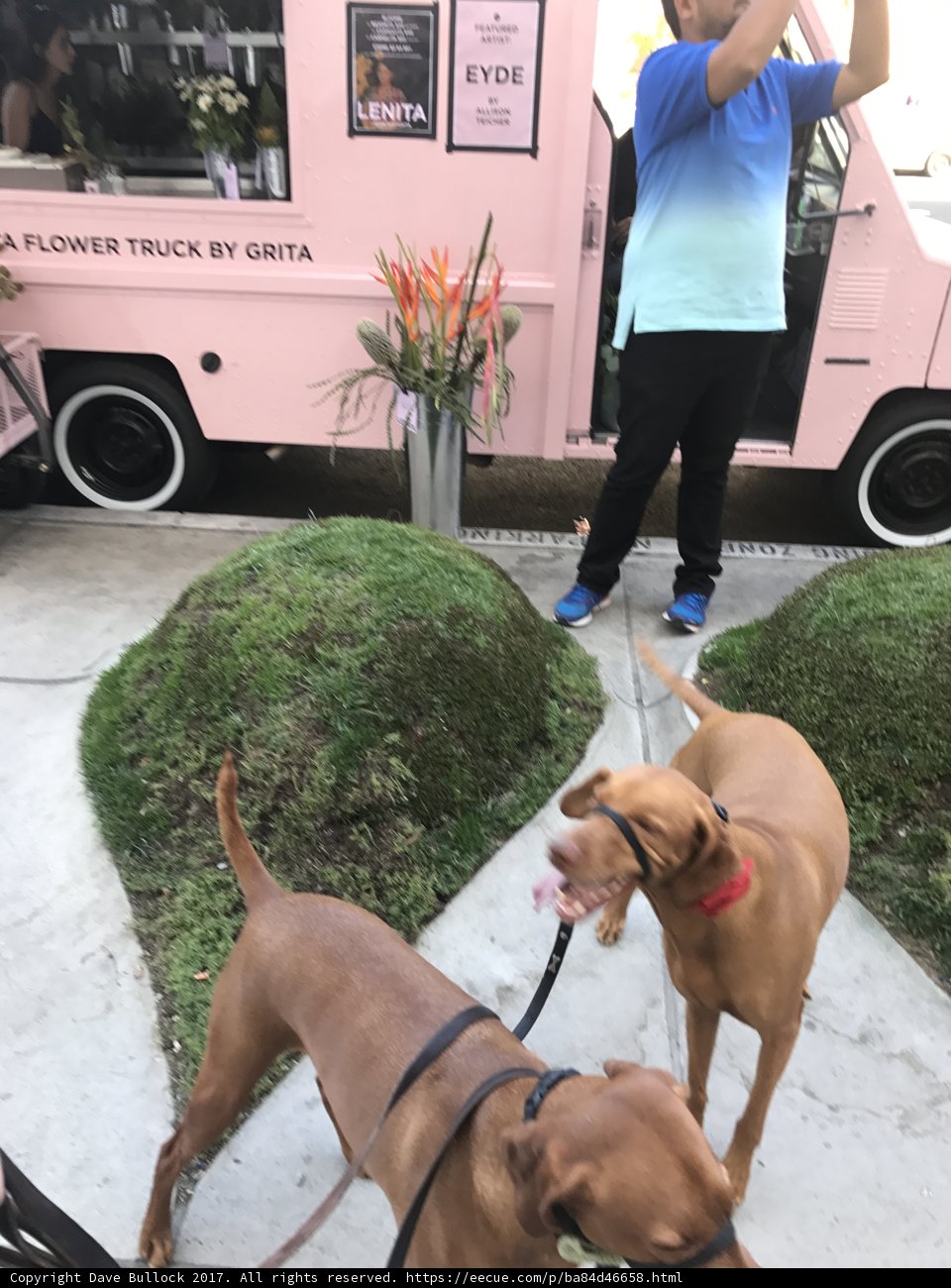 Bark and Bite Eatery