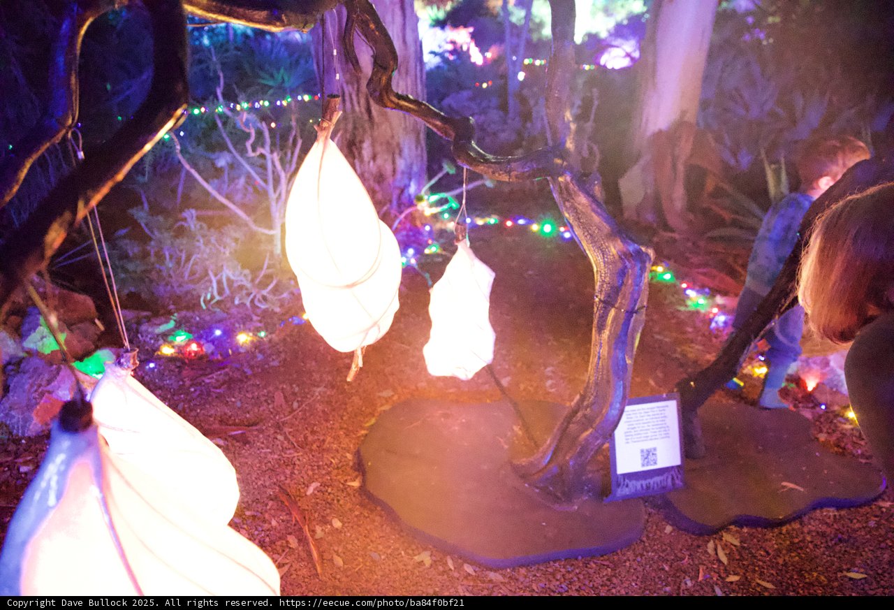 Enchanted Glow: Garden of D'Lights