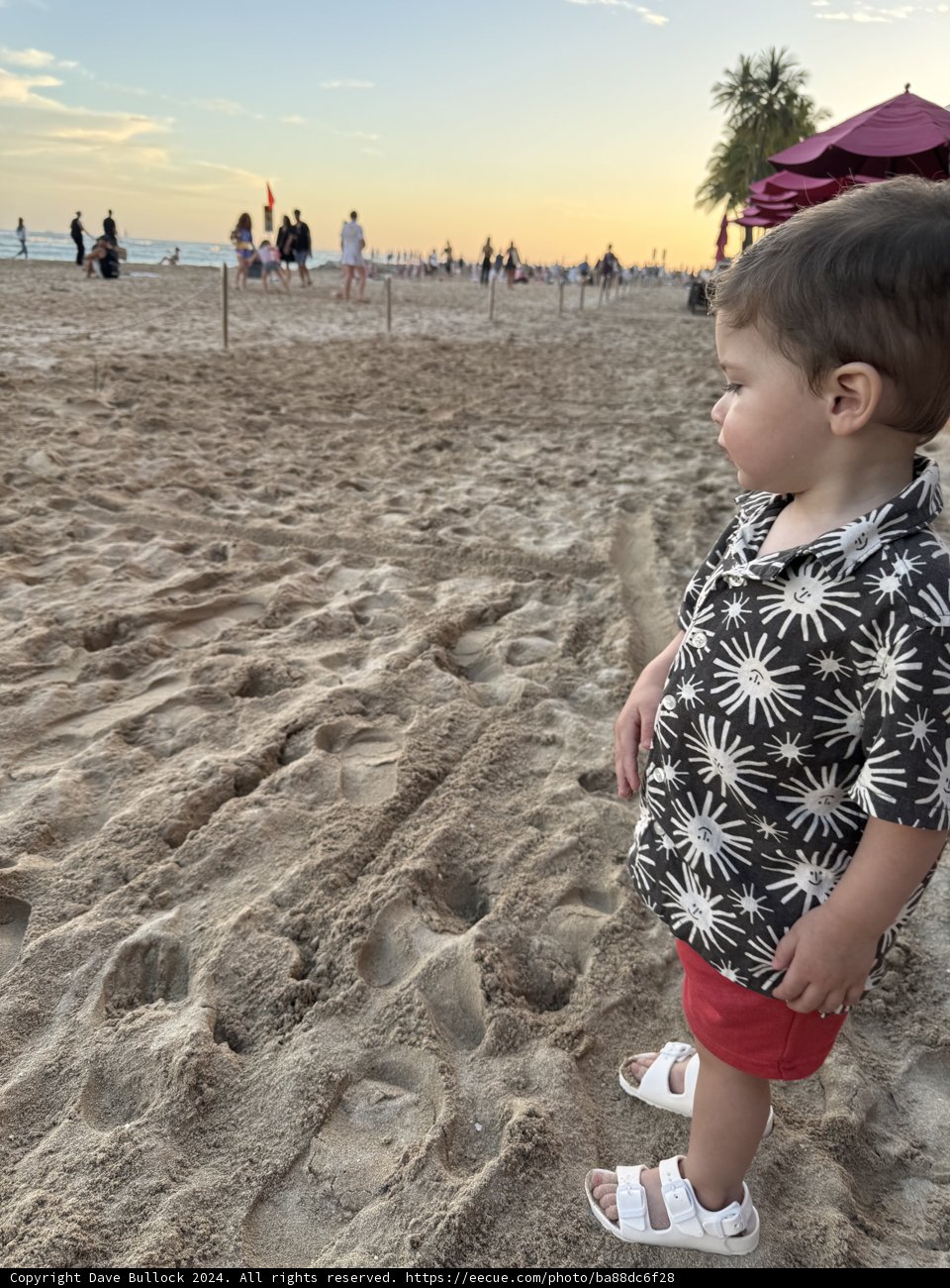 Sunset Contemplation at Waikiki Beach