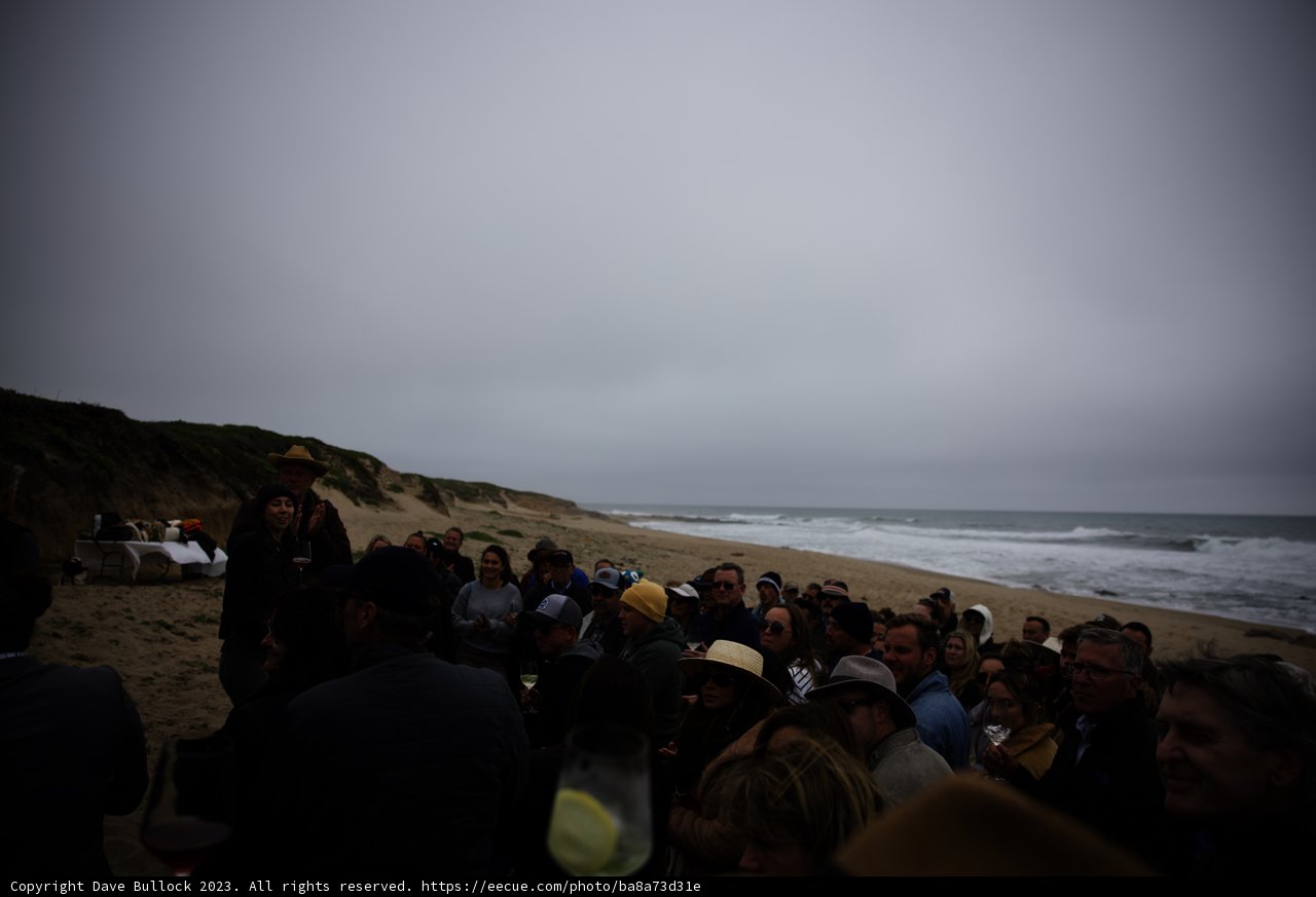 A Memorable Beach Gathering in Pescadero