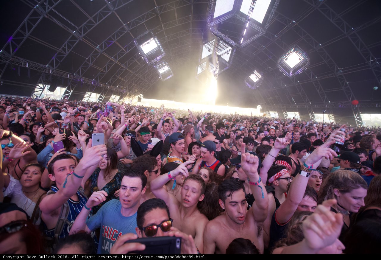 Coachella 2016: A Funky Festival Crowd