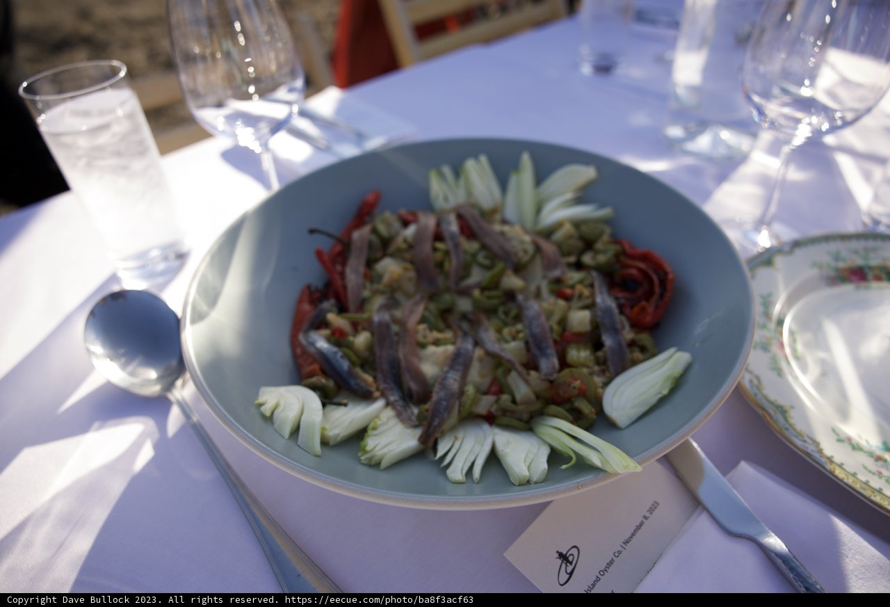Gastronomic Delight at Hog Island Oyster Co
