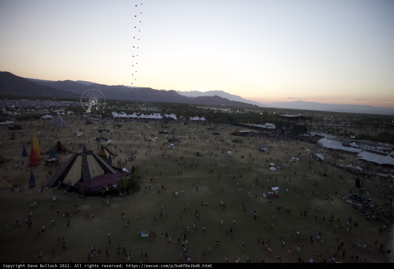 Festival Frenzy in the Desert