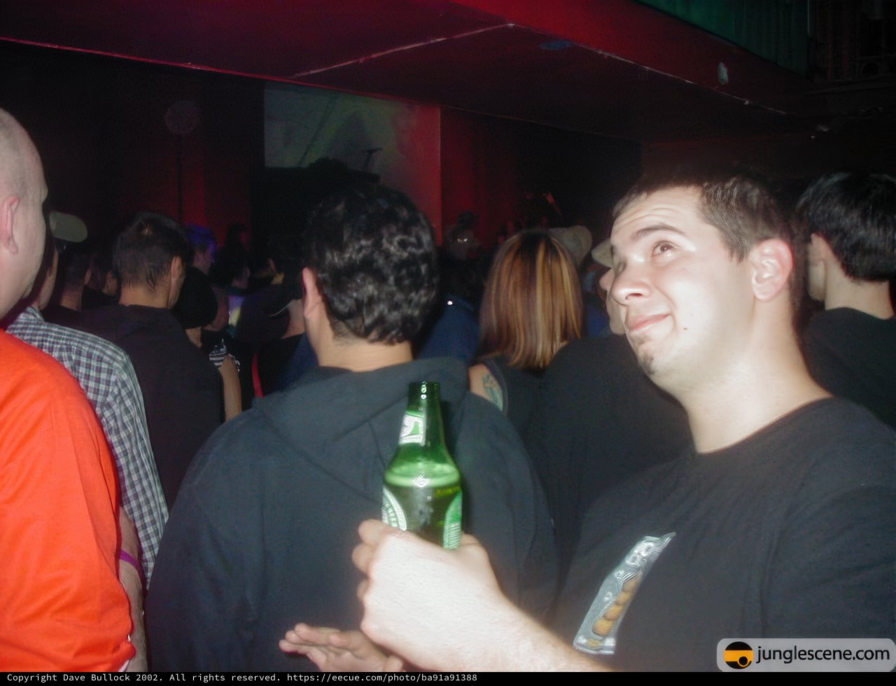 Cheers to the Nightlife