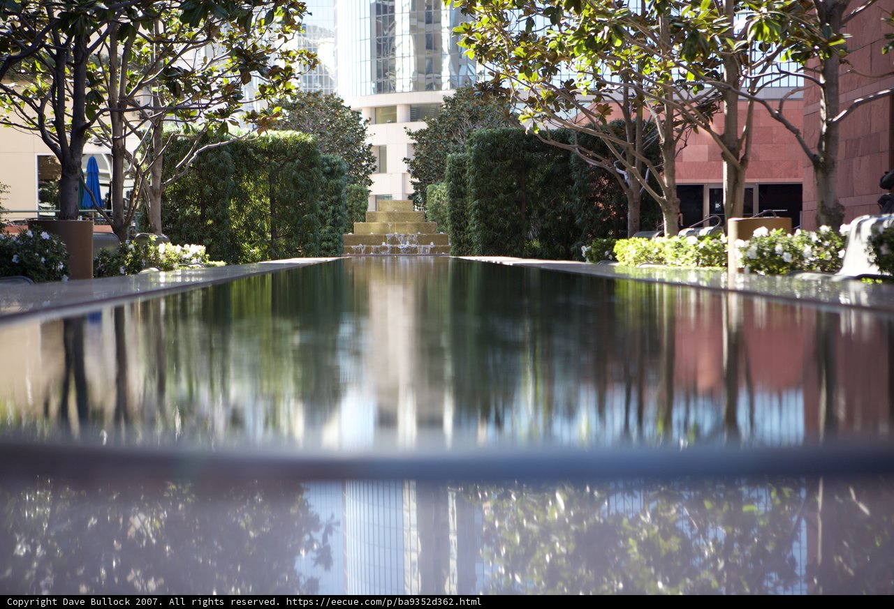Reflections of Architecture in a Garden Pool