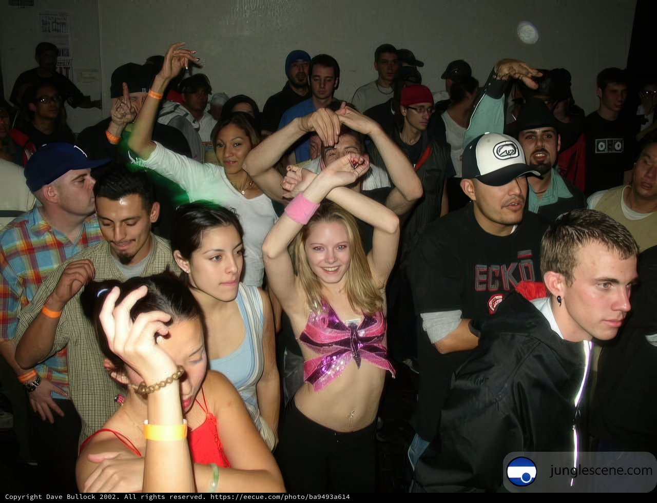 Hands in the Air at the Nightclub