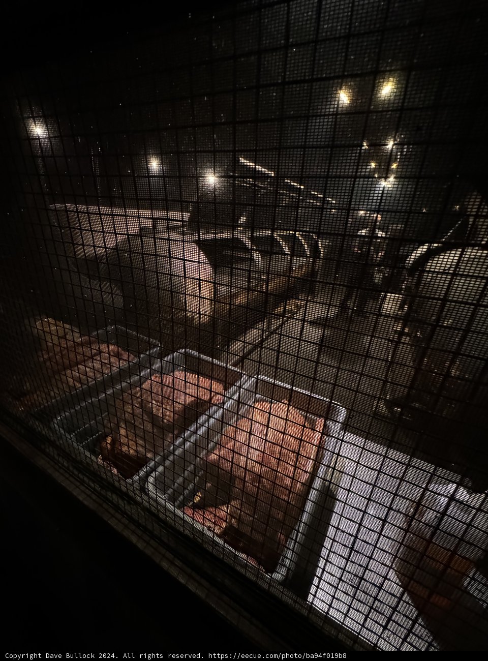 A Solitary Confinement in Austin