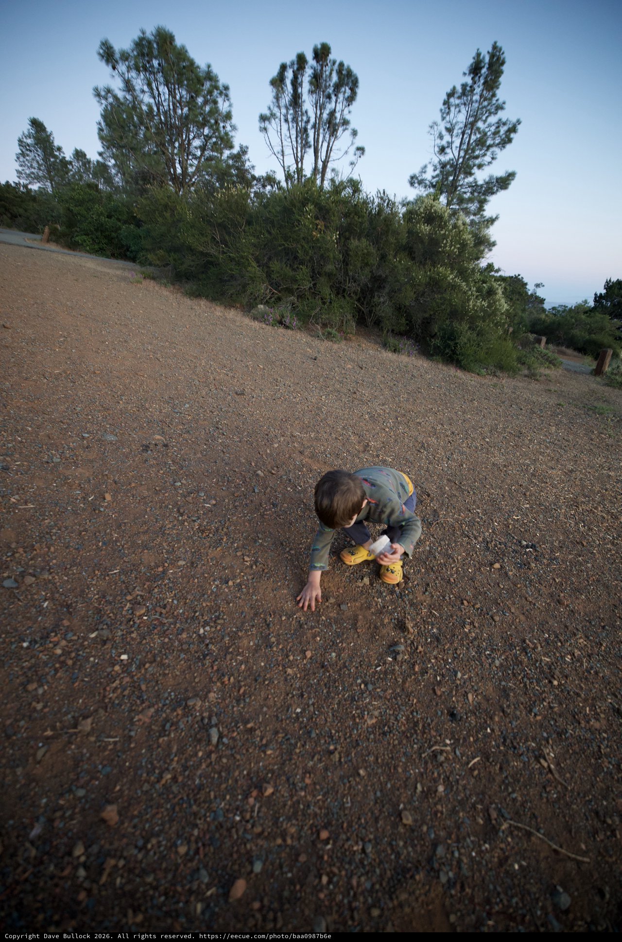 Young Explorer Discovers Wonders in Gravel at Dusk