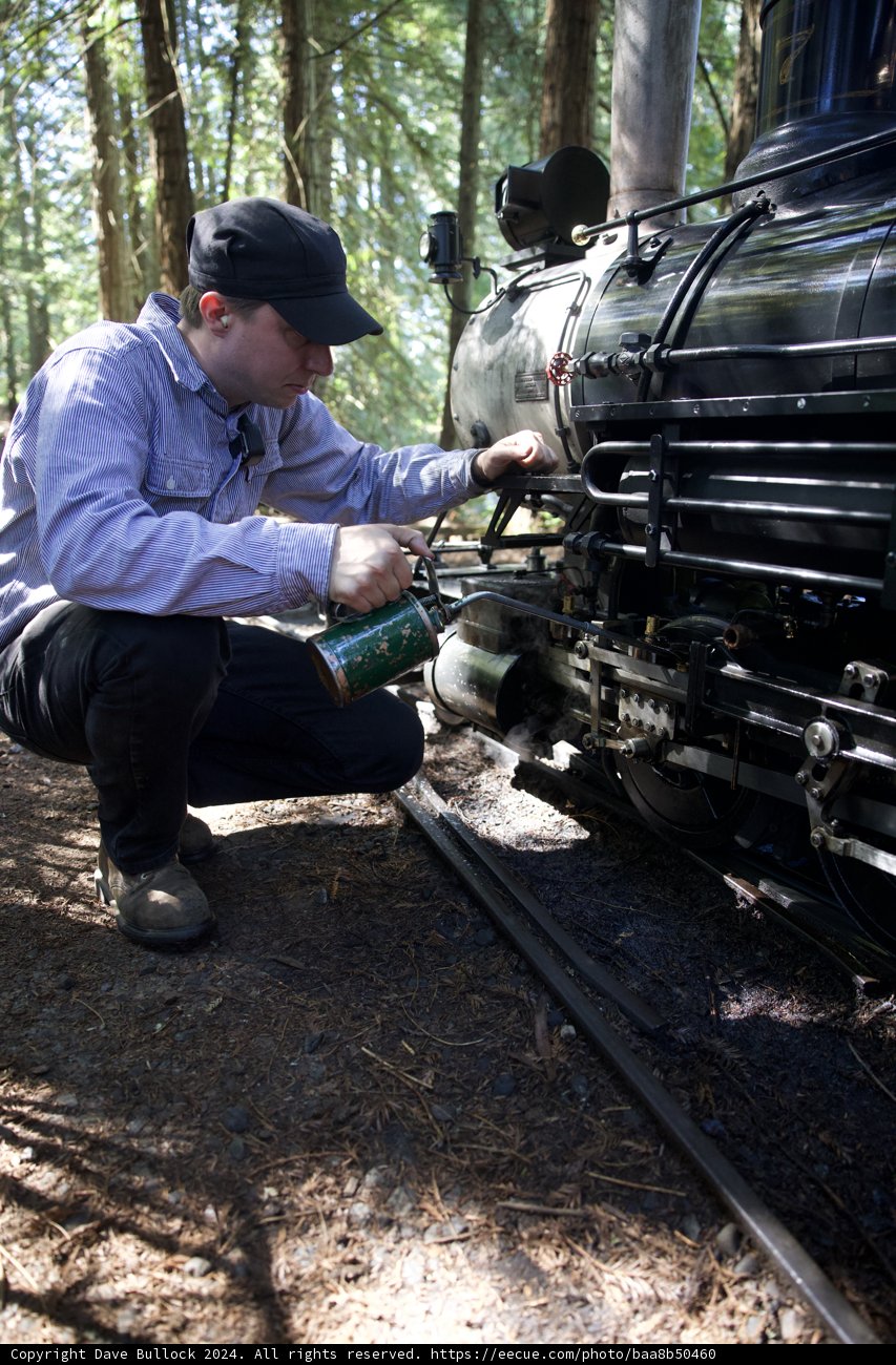 In the Heart of Steam and Timber
