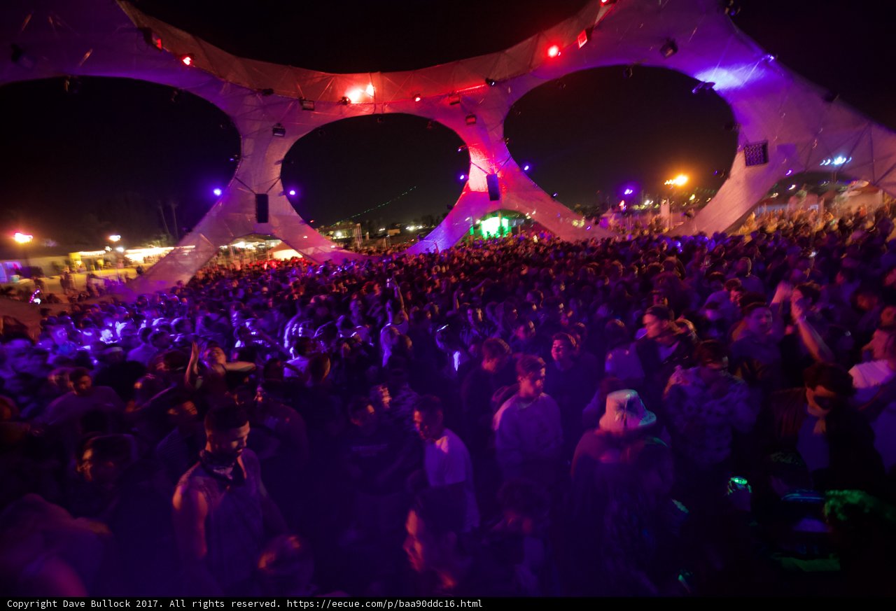 Electric Vibes at Coachella