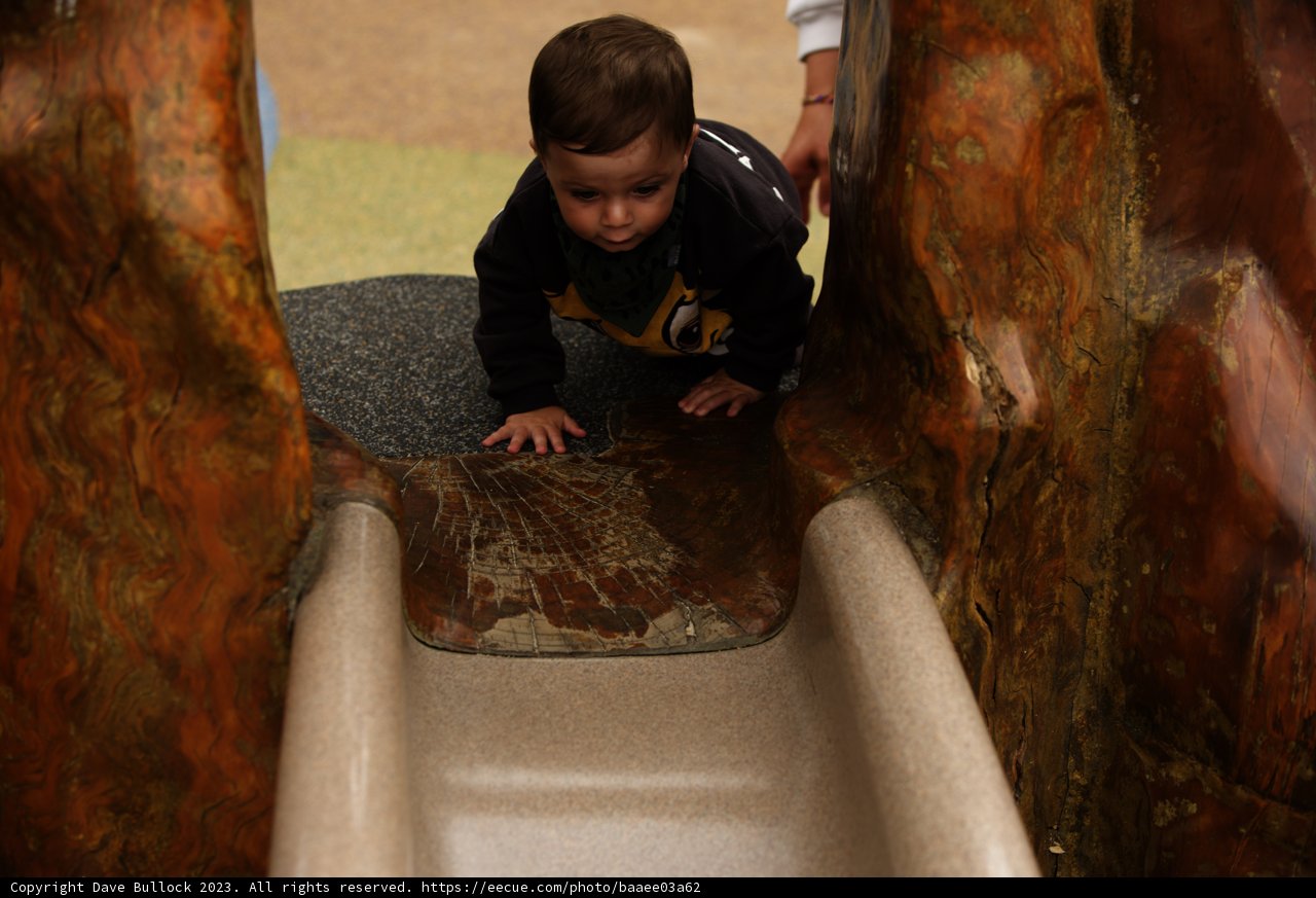 Adventure at the SF Zoo Playground