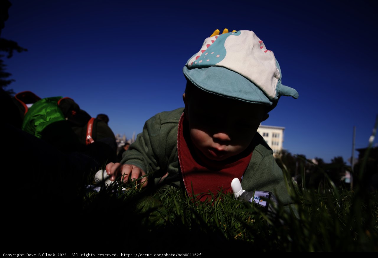 Fun in the Sun at Alamo Square