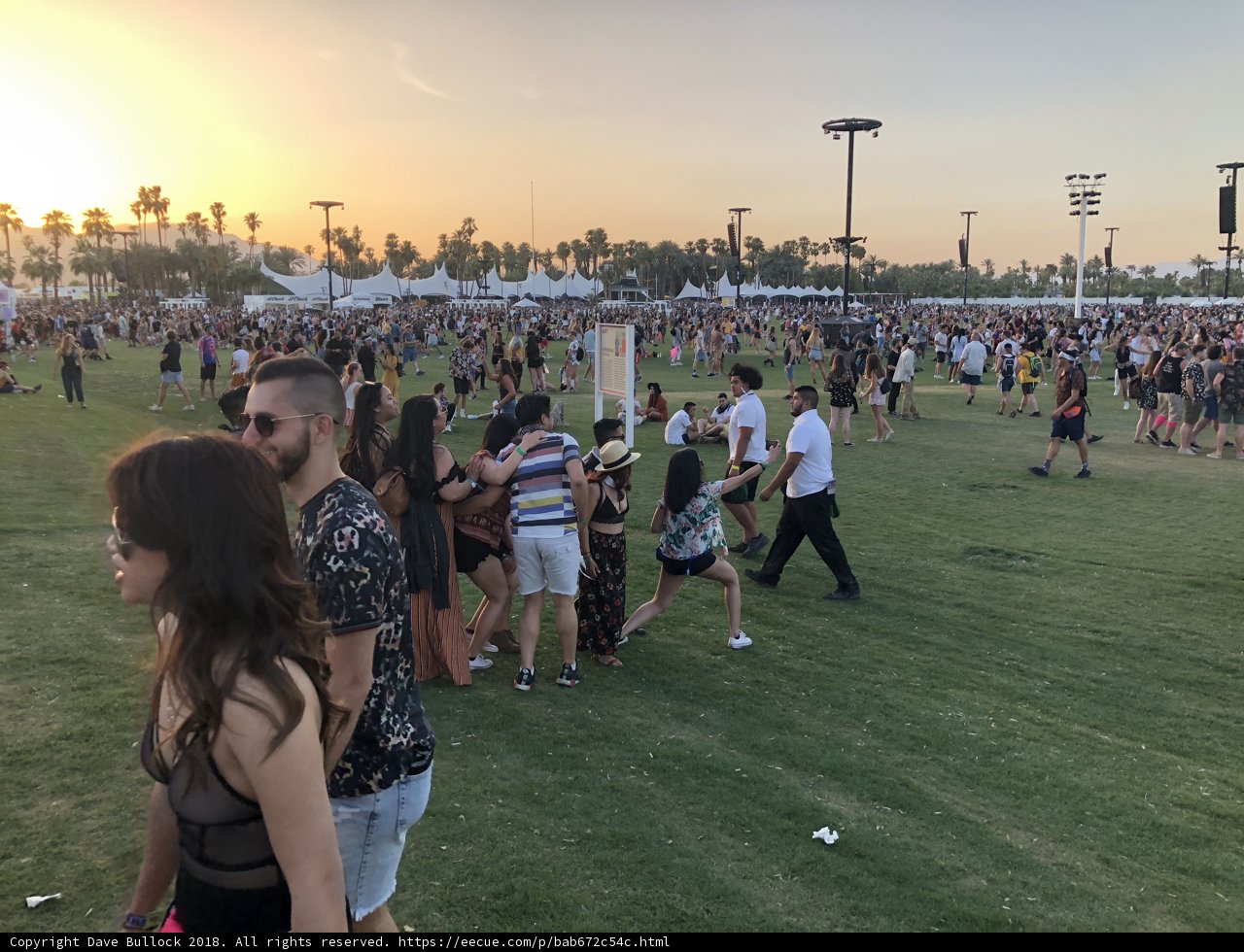Sun-kissed Gathering