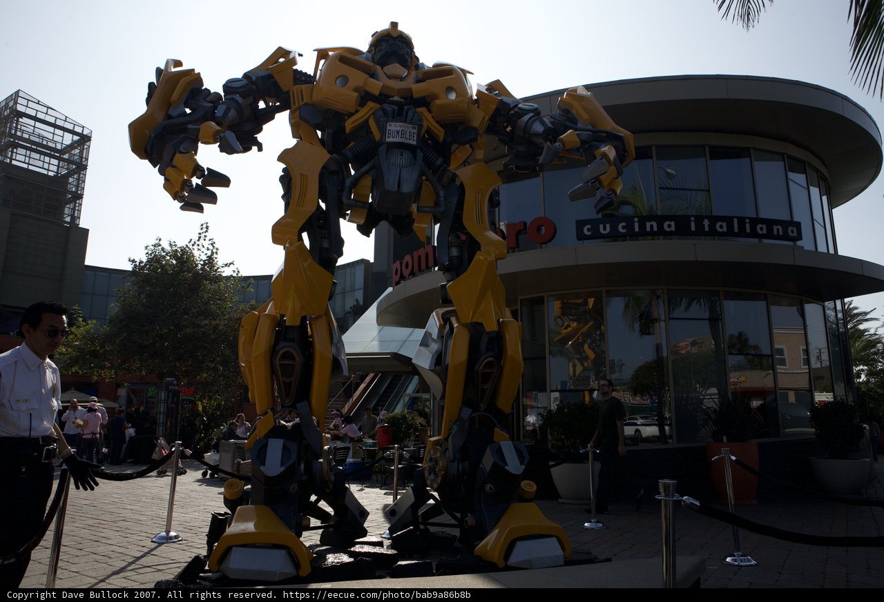 Robotic Guardian Amongst the Palm Trees