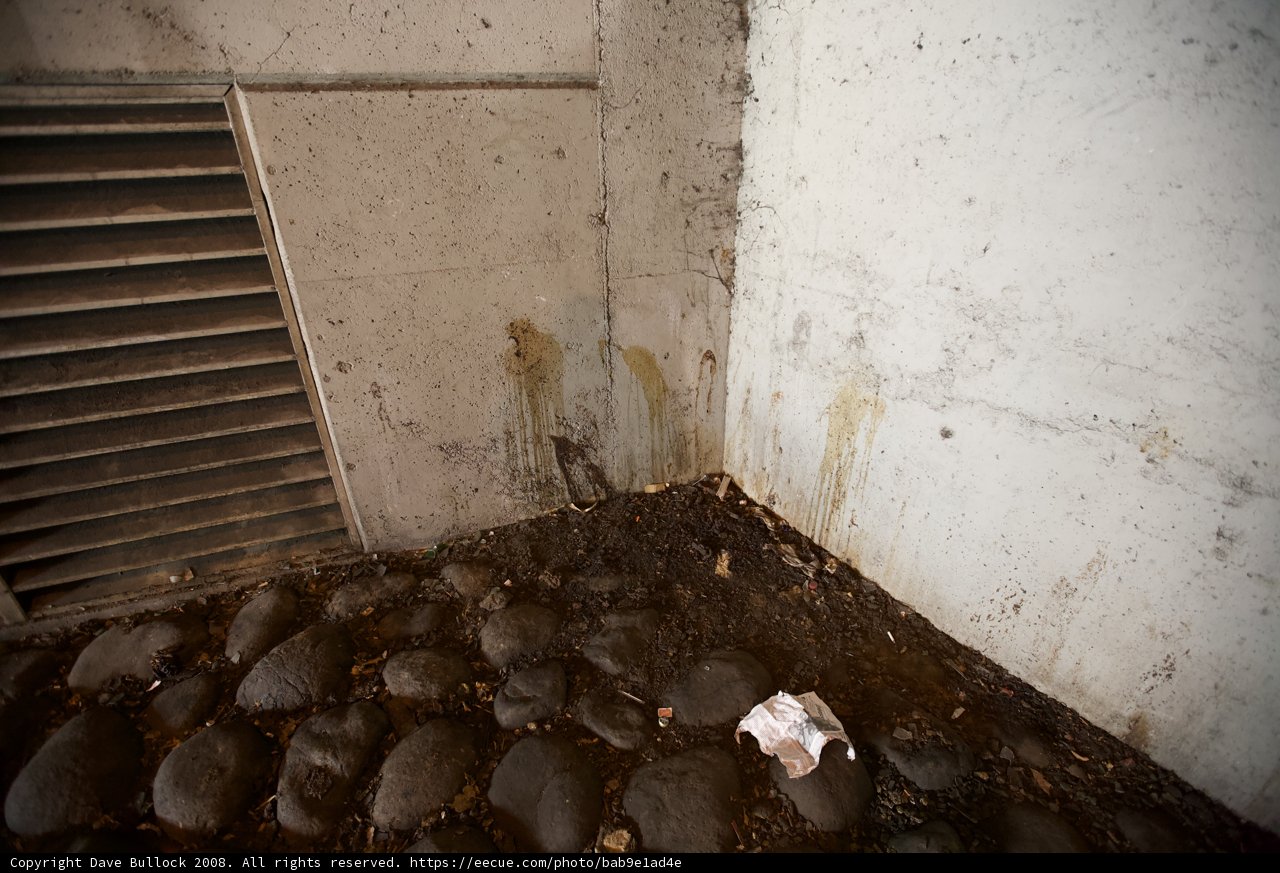 The Grimy Chamber