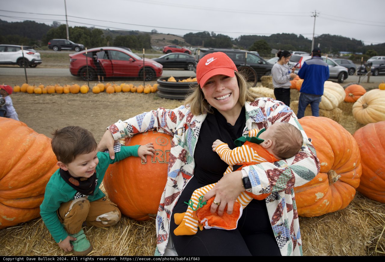 Harvest Joy