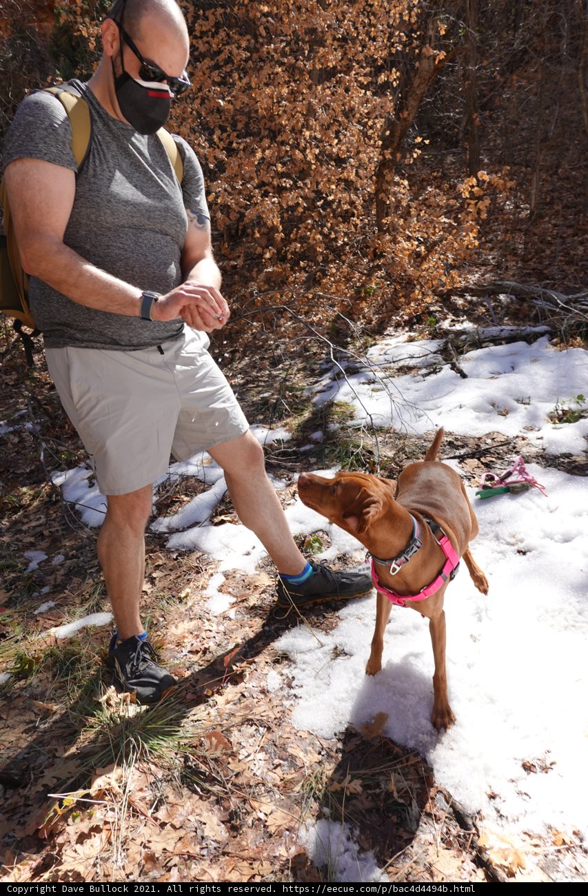 Man and Dog Hiking in the Snow