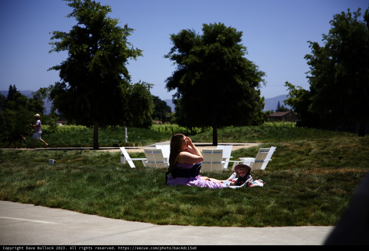 Summer Bliss in the Park