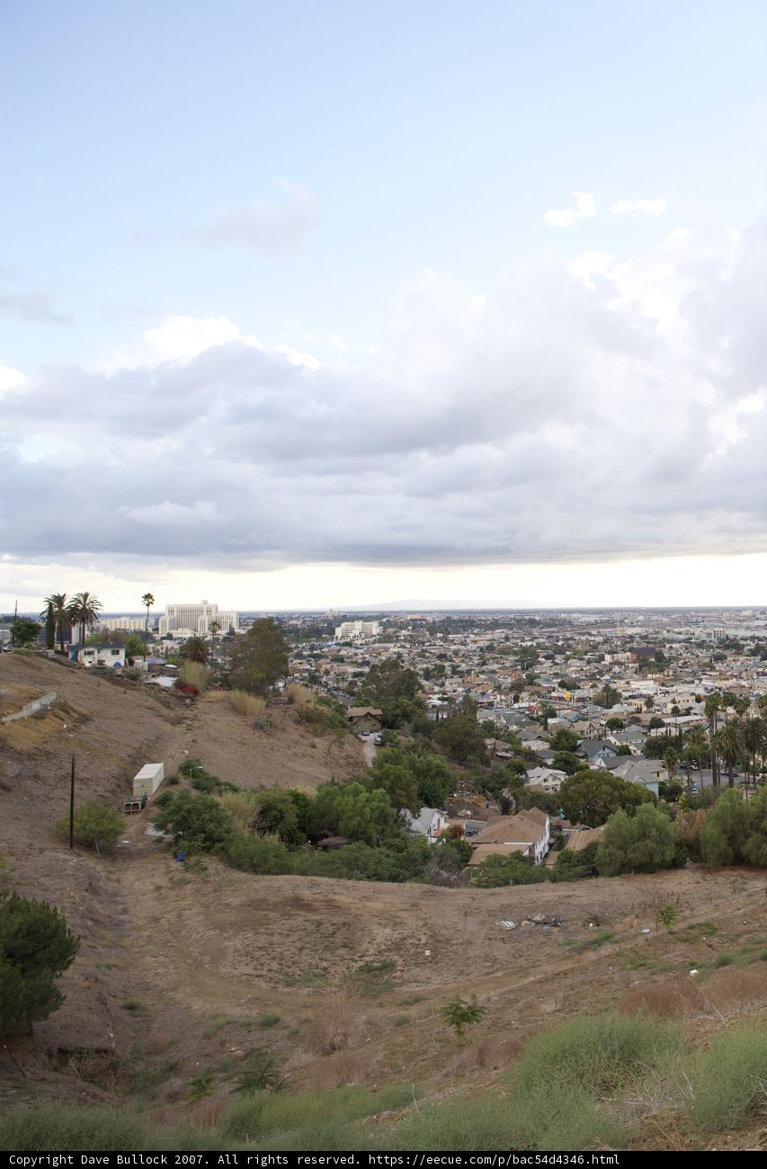 A Bird's Eye View of The City