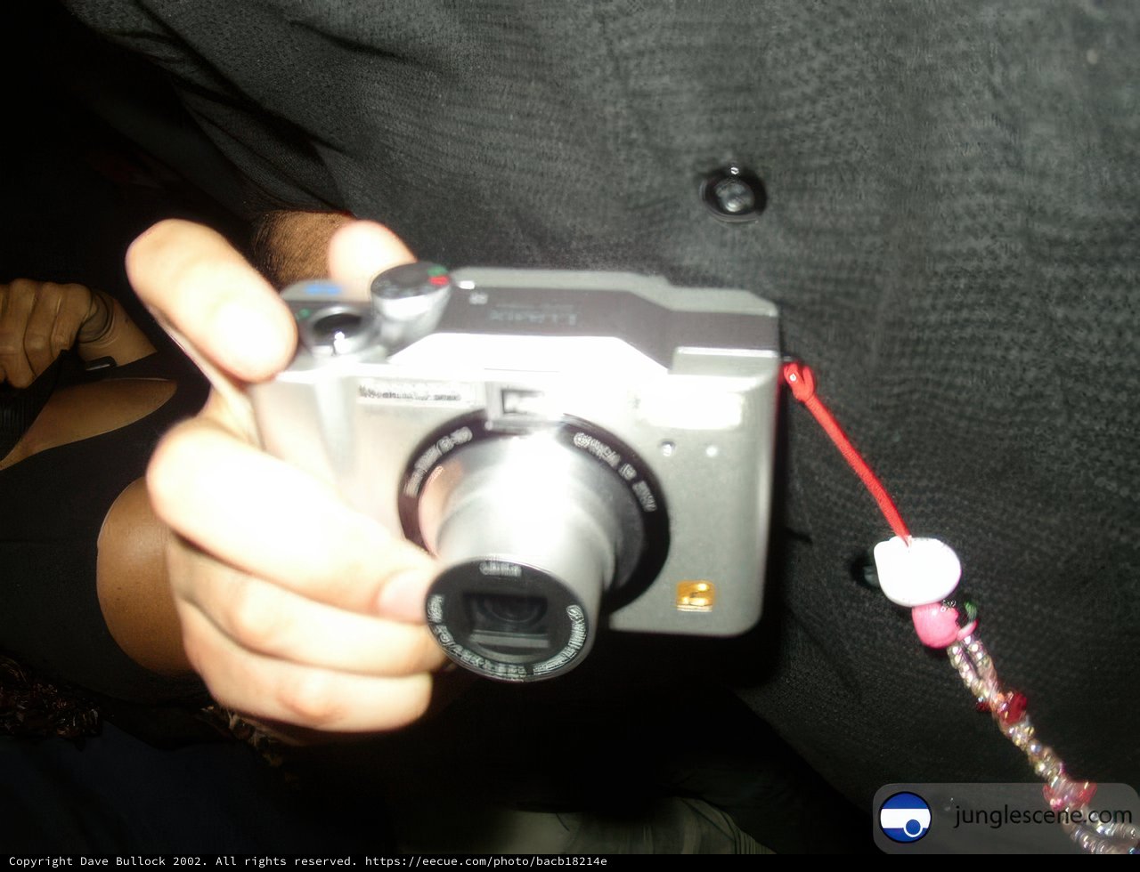 Capturing Memories