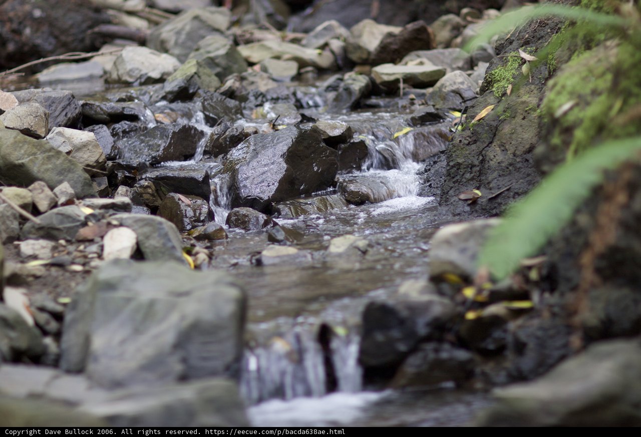 Rushing Creek Amidst Rocky Terrain