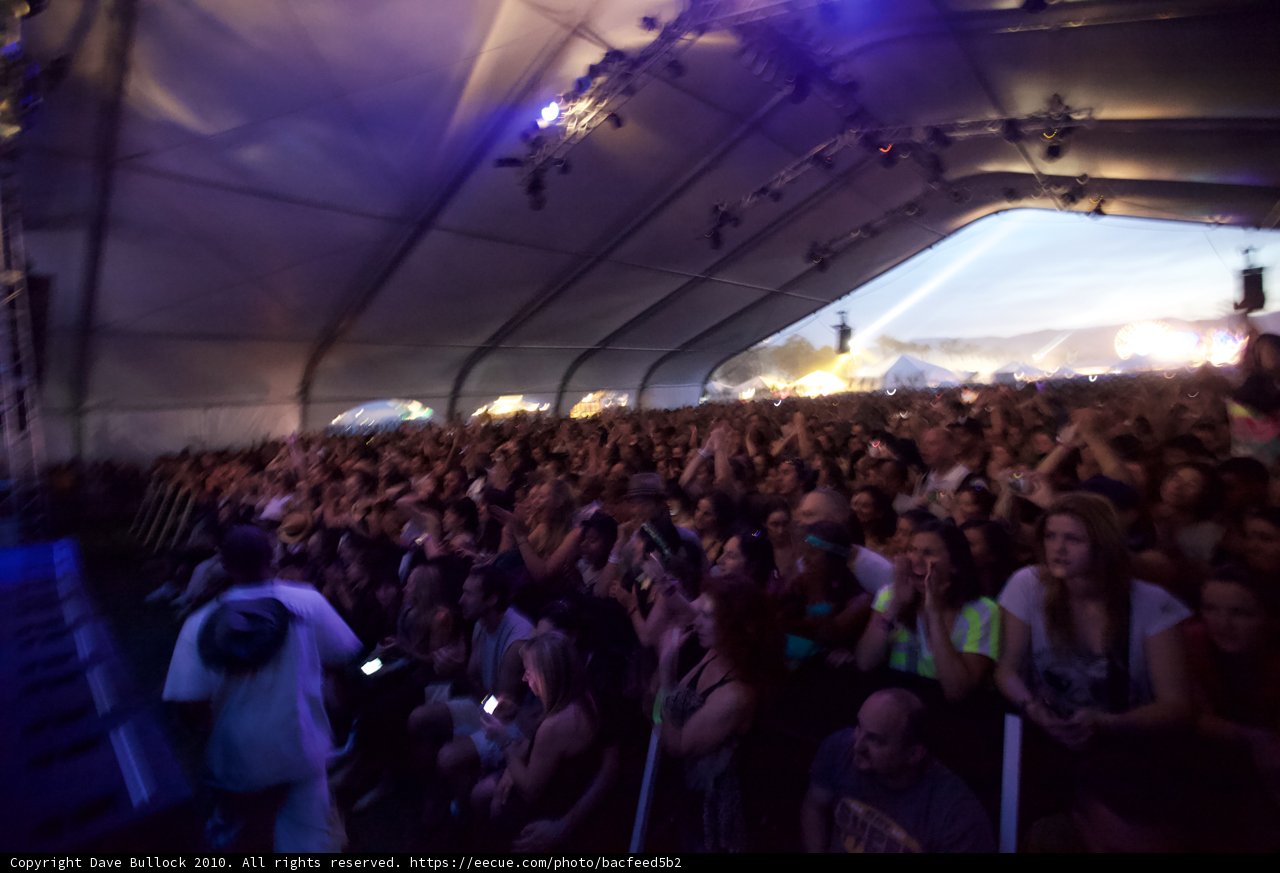 Coachella's Electric Crowd