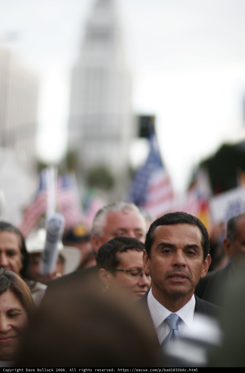 Politician in the Spotlight