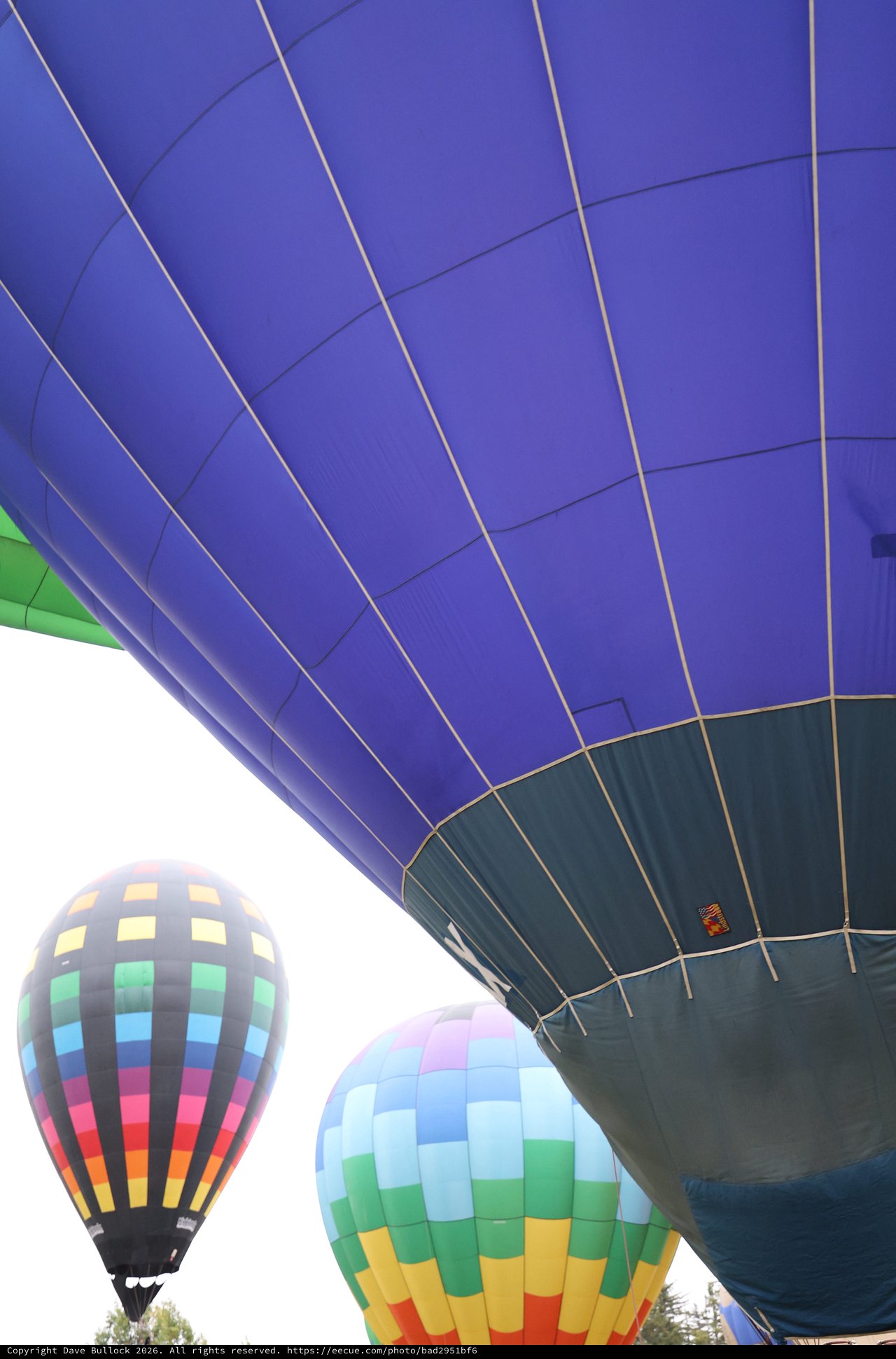 Rainbow of Giants: Hot Air Balloons at Ground Level