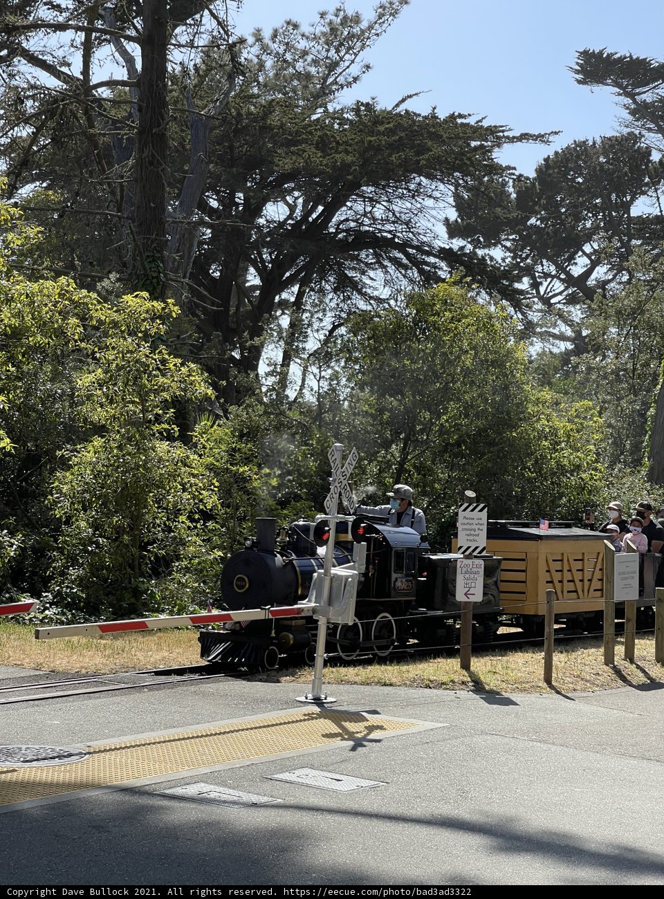 Parked Train at San Francisco Zoo