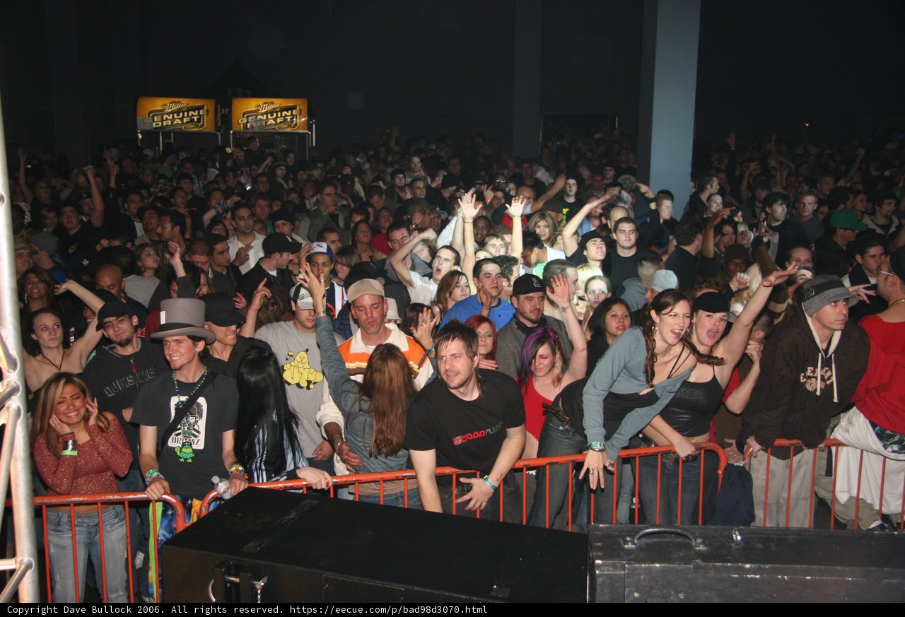 New Year's Eve Concert Madness