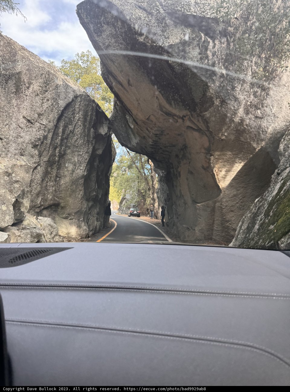 Wild Urban Journey Through Rocky Splendor