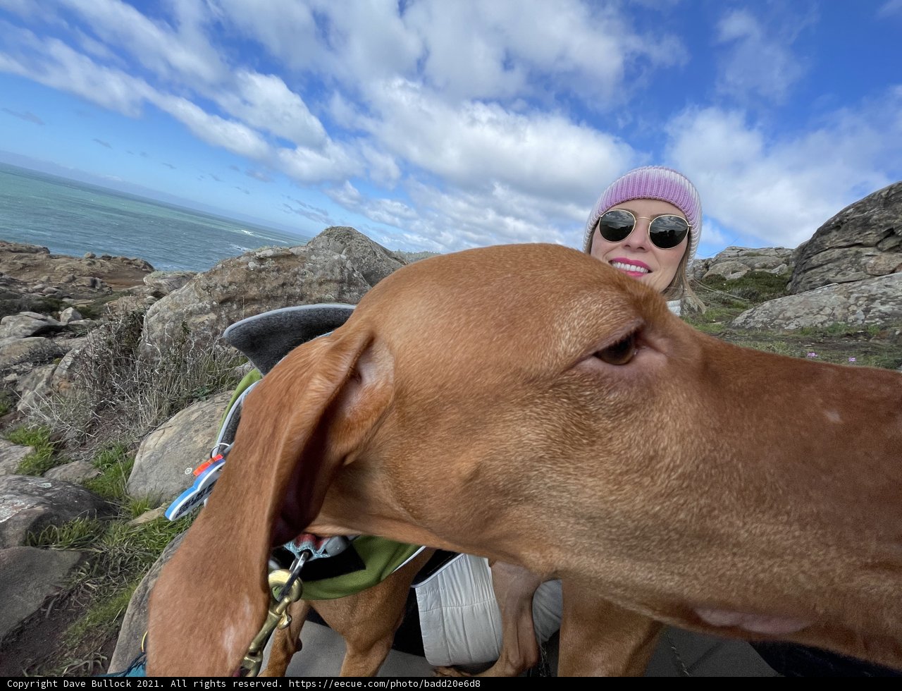Woman and her Vizsla Taking a Selfie by the Ocean