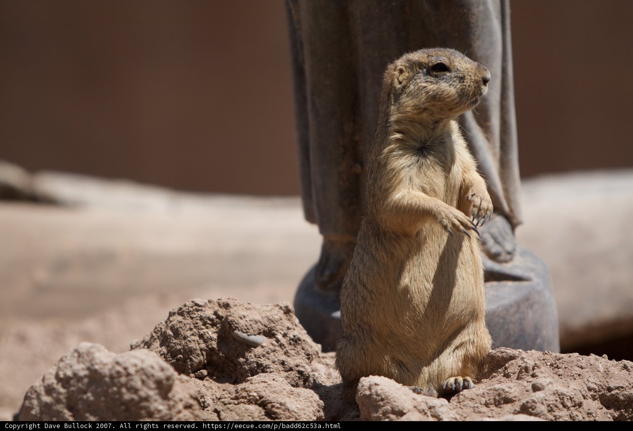 Standing Proud