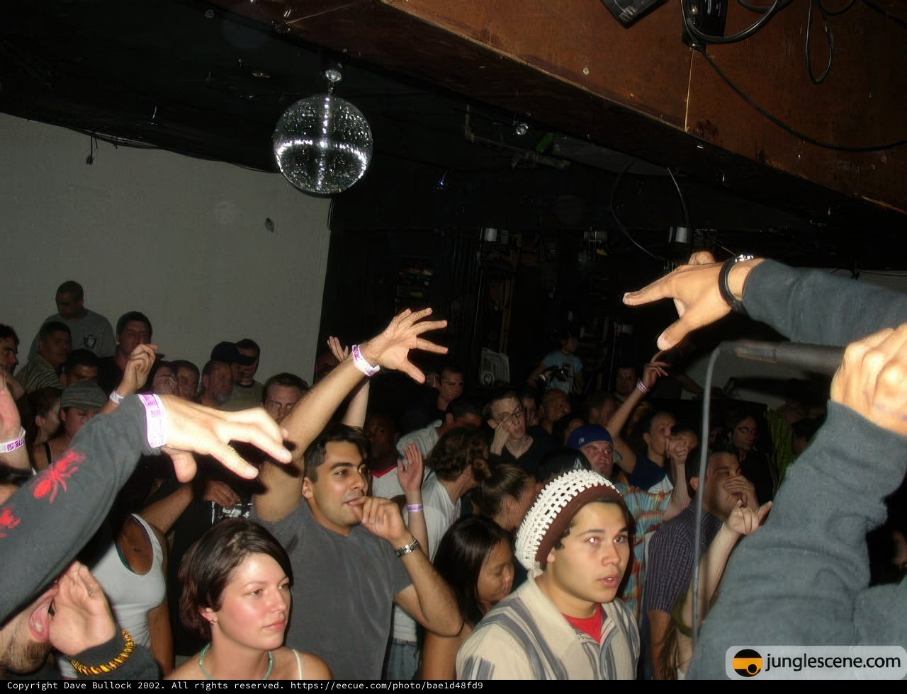Night Club Party Madness