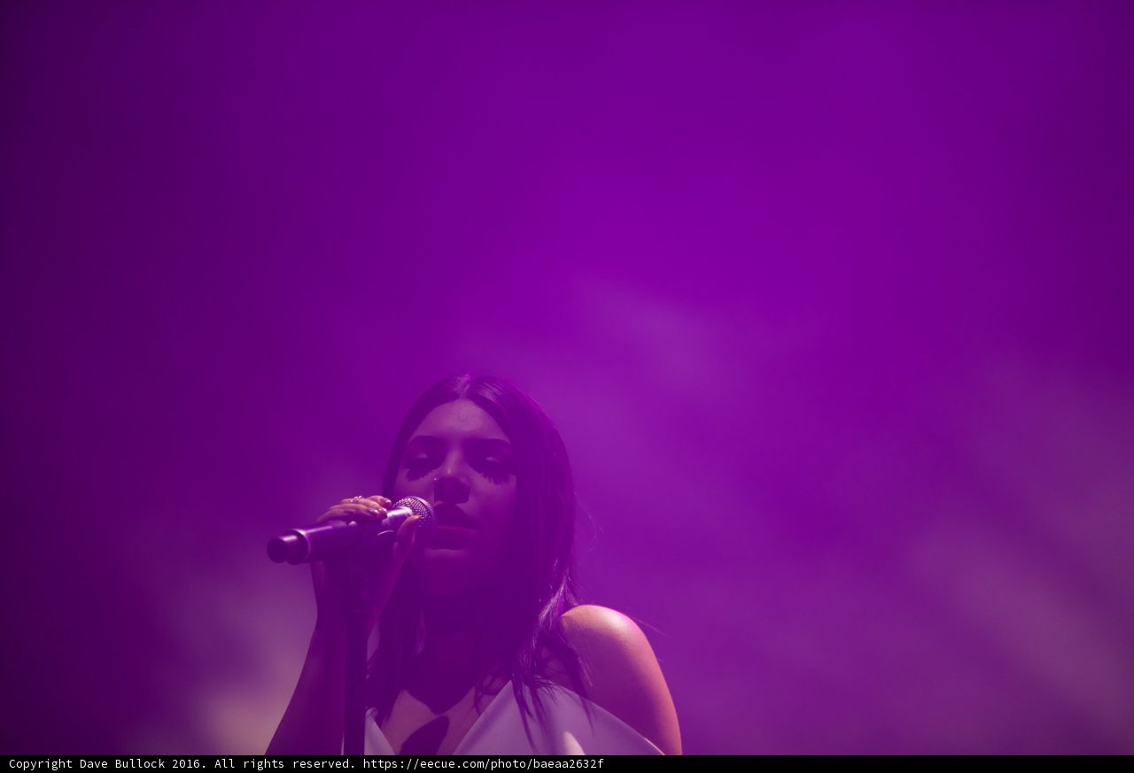 Purple Haze