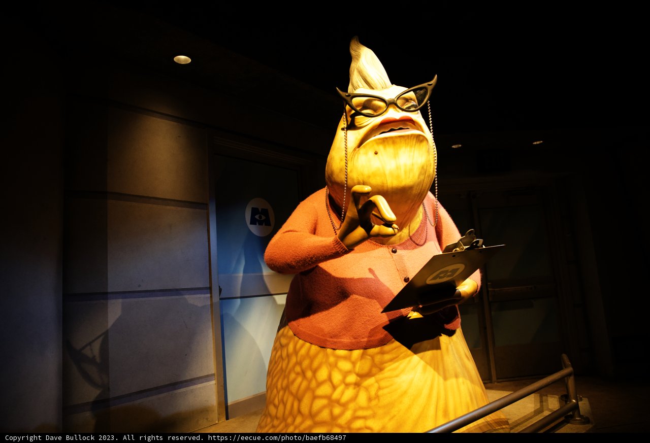 The Peculiar Fish Spectacle at Disneyland