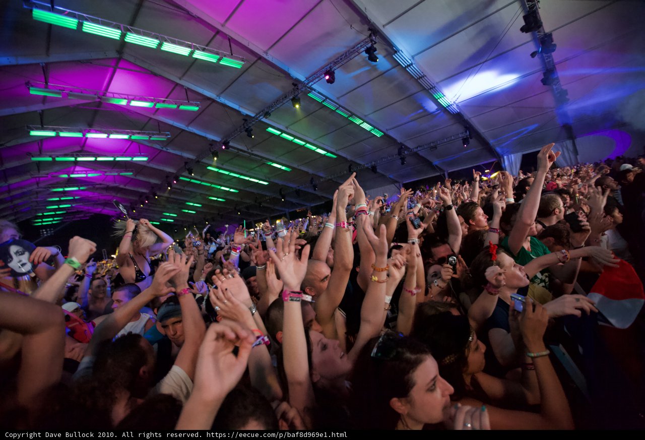 Coachella Crowd Goes Wild