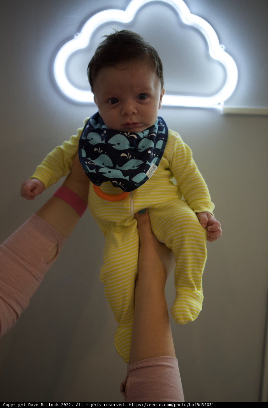 Neon Charm - Wesley at 2 Months