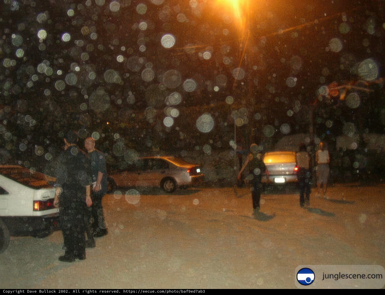 Night Blizzard