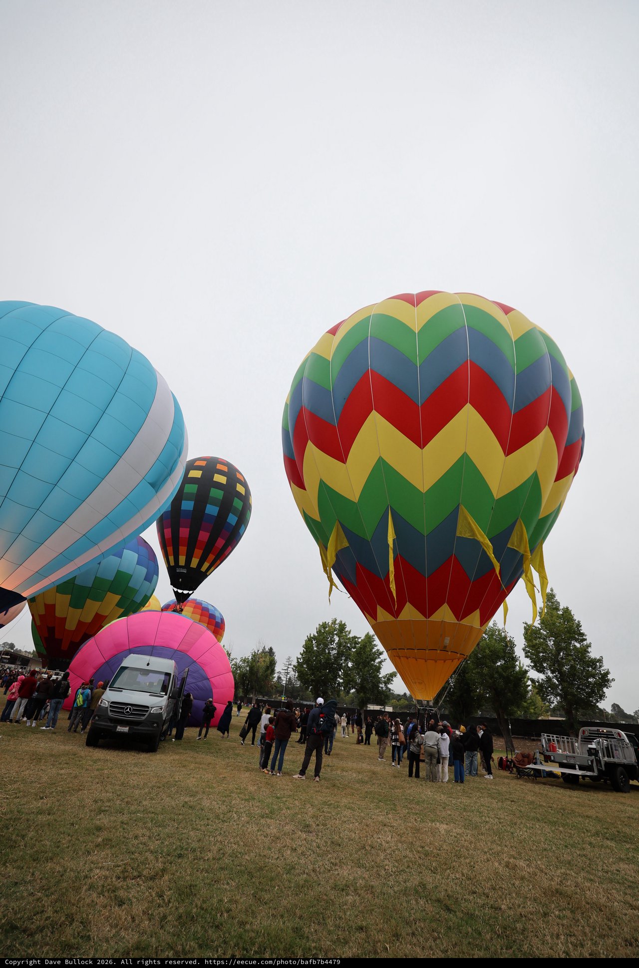 Colorful Hot Air Balloons Ready for Launch at Festival