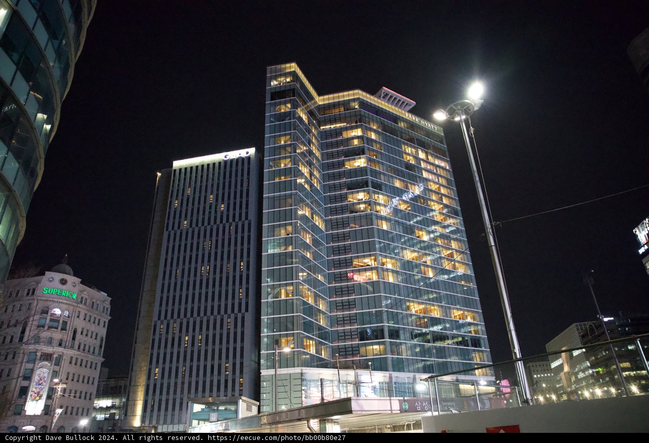 Metropolitan Nights: The Urban Jungle